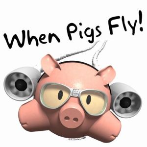 when-pigs-fly-aurally-dj-service.f2a87741e86b13455cec9c1572a00959-rg-522x522